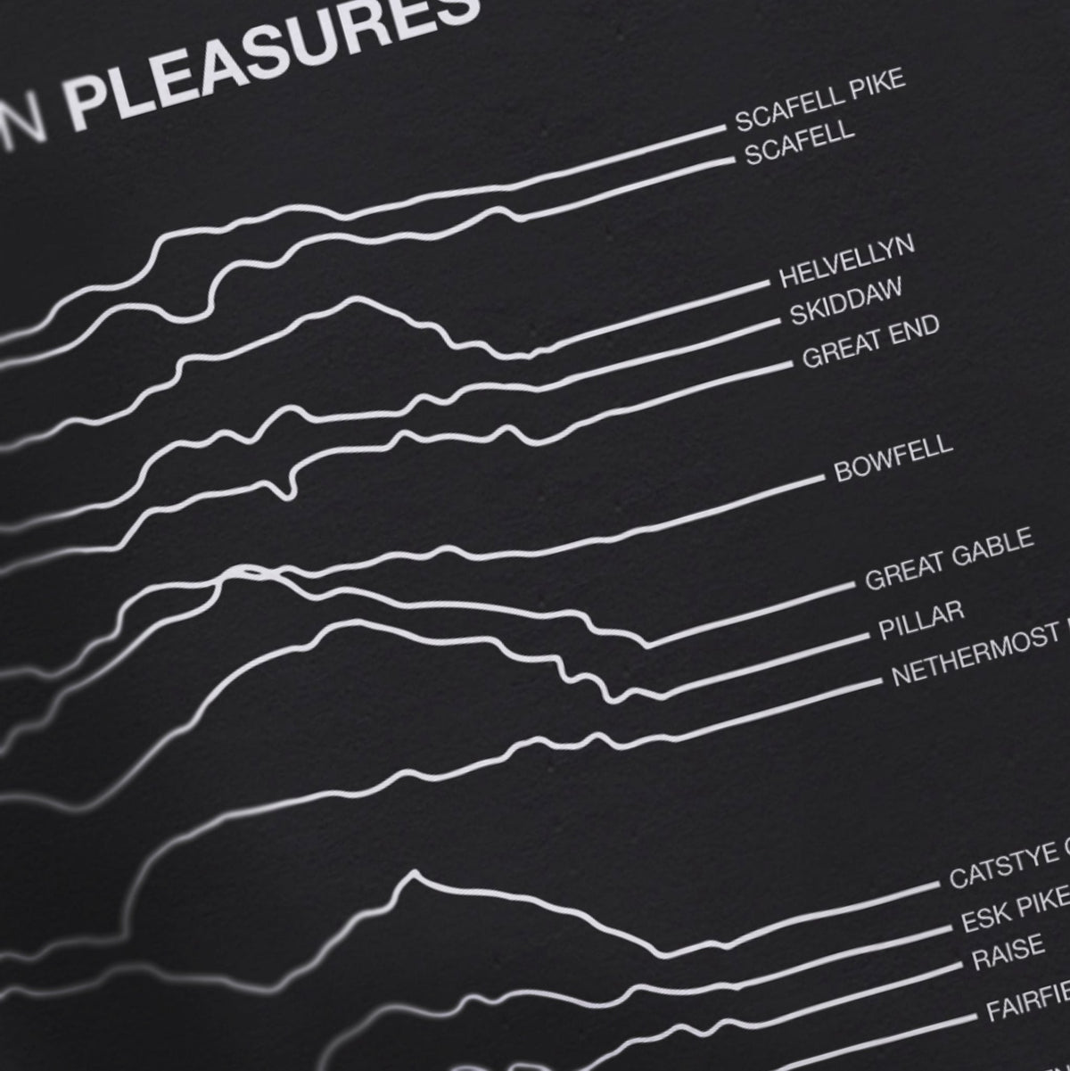 Known Pleasures T Shirt