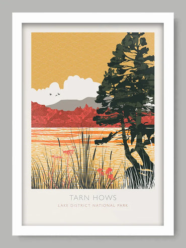Tarn Hows Reflections - Lake District Poster Print