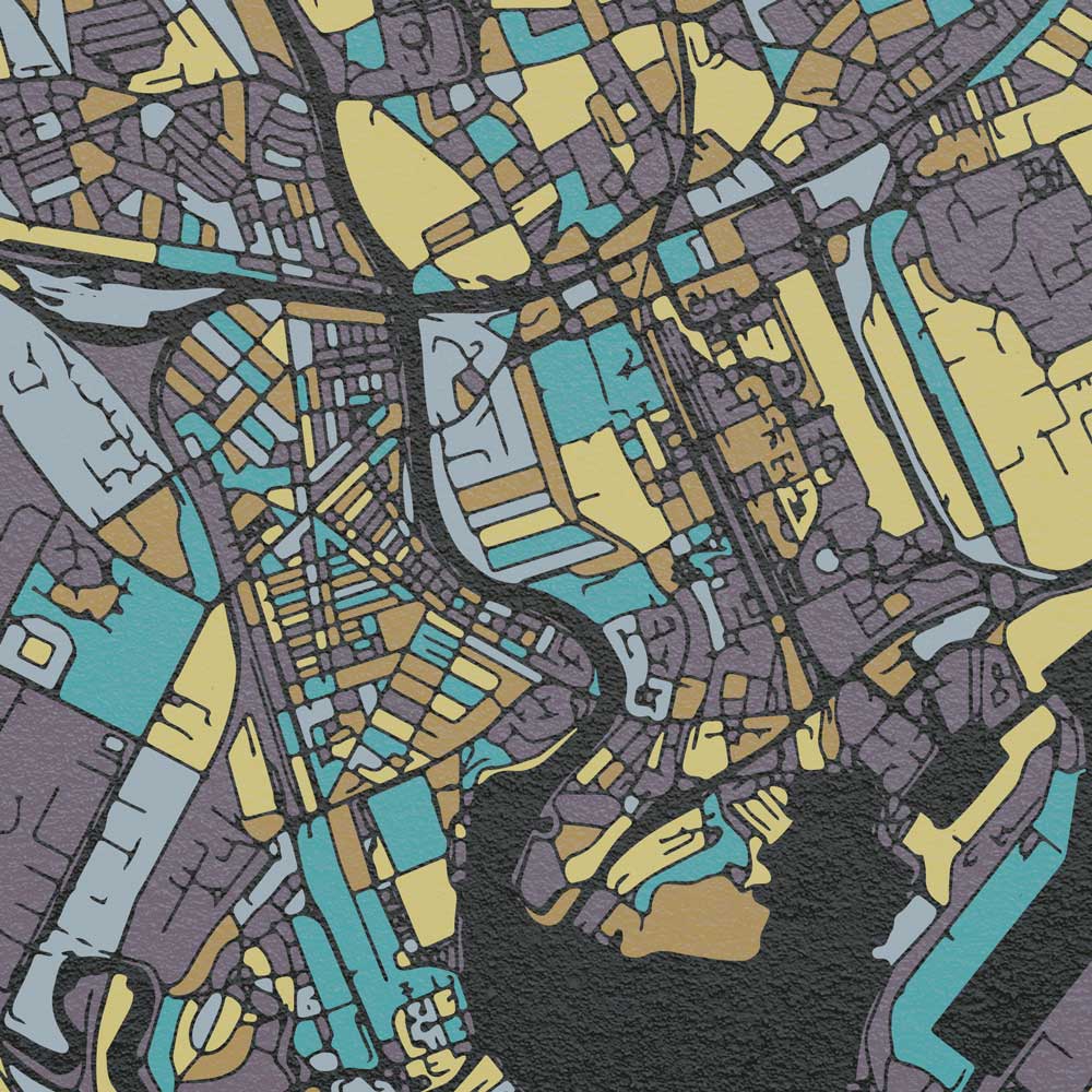 map of cardiff street poster print