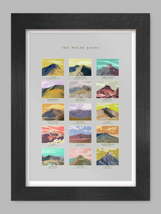 Welsh 3000s - A4 Poster print