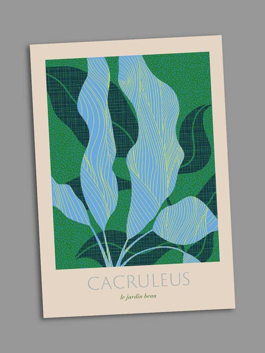 cacruleus greeting card