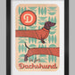 D is for Dachshund Poster Print