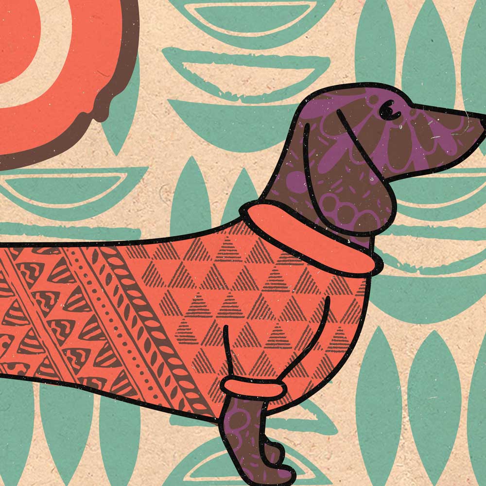 D is for Dachshund Poster Print