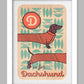D is for Dachshund Poster Print