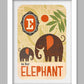 E is for Elephant Poster Print