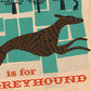 G is for Greyhound Poster Print