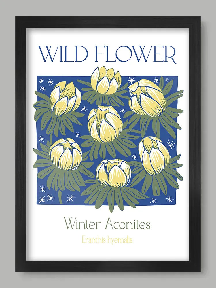 Winter Aconites Print