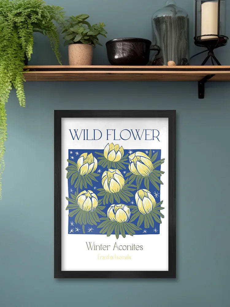 Winter Aconites Print