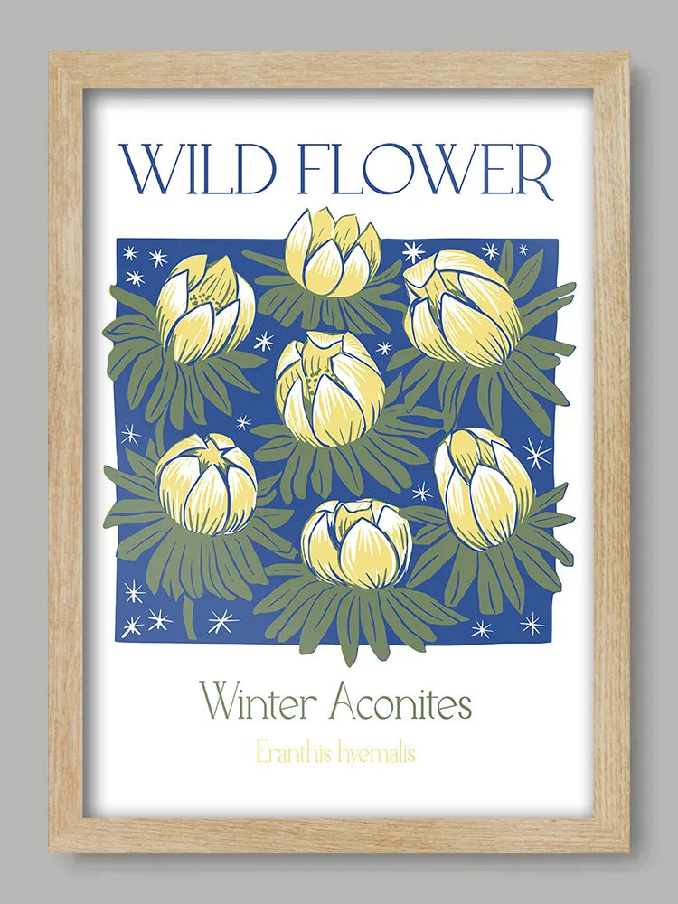 Winter Aconites Print
