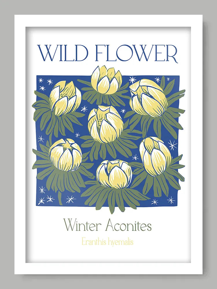 Winter Aconites Print