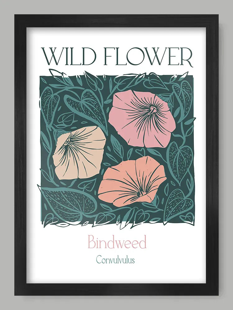 Bindweed Print