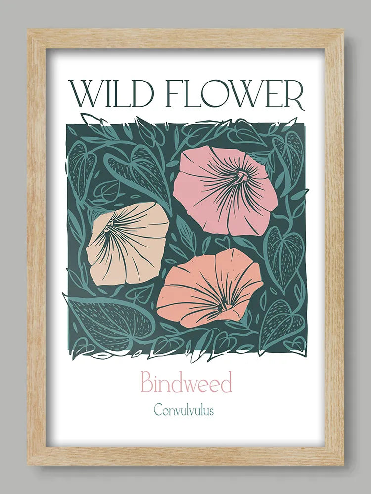 Bindweed Print