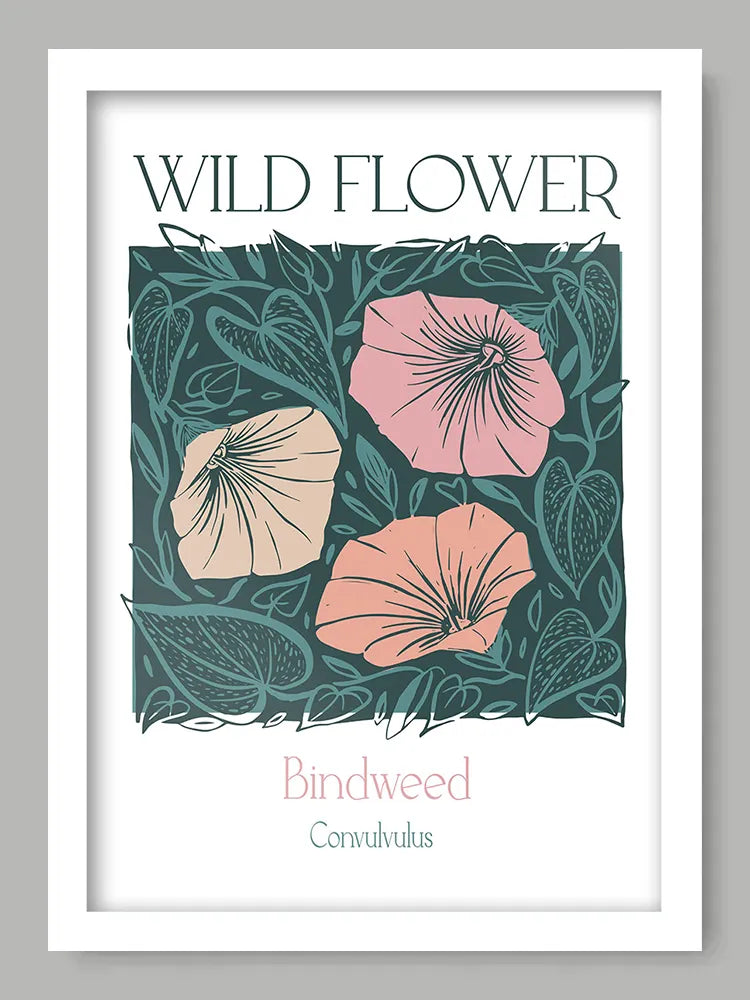 Bindweed Print