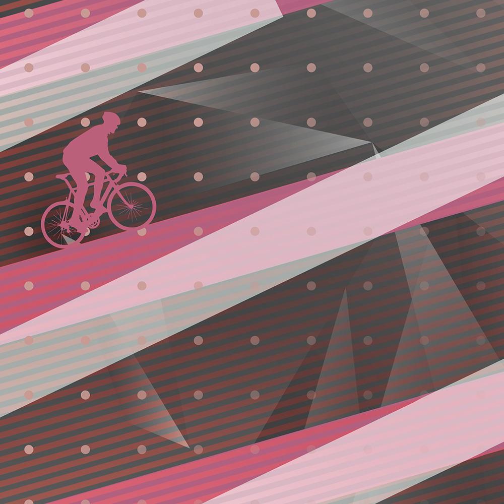 Passo Dello Stelvio - Cycling Climb Print