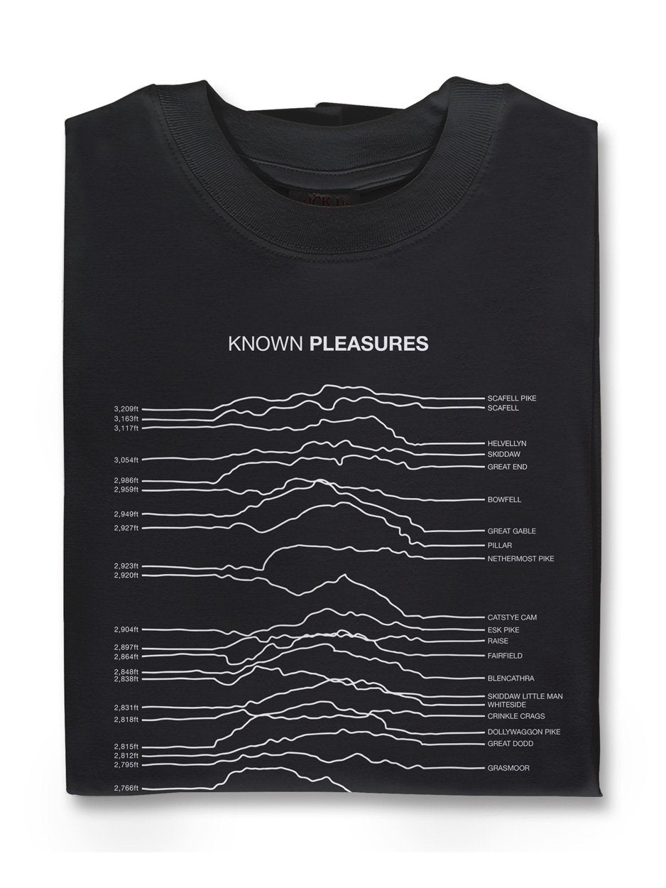Known Pleasures  T Shirt