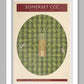 Somerset CCC - Cricket Poster Print