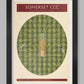 Somerset CCC - Cricket Poster Print
