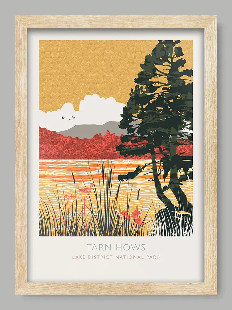 Tarn Hows Reflections - Lake District Print