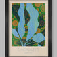 Cacruleus - Botanical Print. Gardening poster, horticultural print