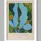 Cacruleus - Botanical Print. Gardening poster, horticultural print