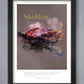 Skiddaw in Wainwright's Words - Poster Print