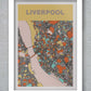 Liverpool street map style poster