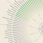 The South West coastal path poster print. The Salt Path