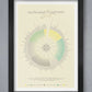 The South West coastal path infographic poster print. The Salt Path